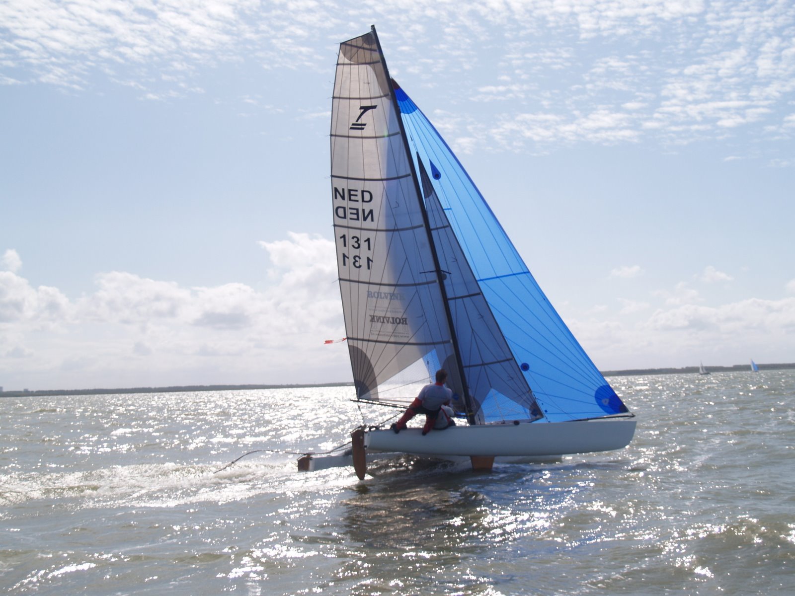 Catamaran sails