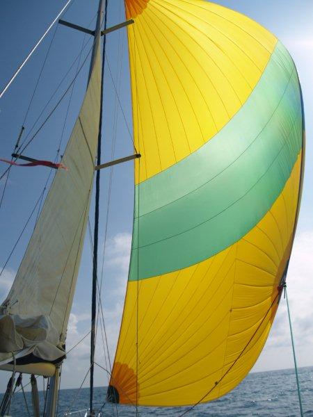 Spinnaker